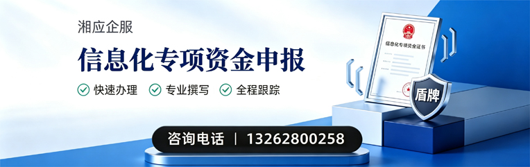清远信息化专项资金申报服务