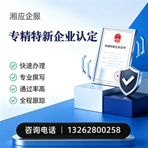 清远专精特新企业申报服务