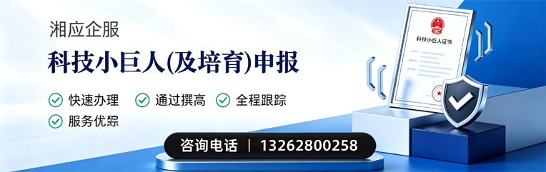 清远科技小巨人及培育企业申报服务
