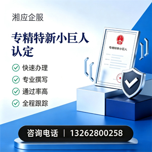 清远专精特新小巨人申报服务