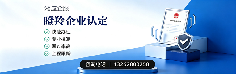 清远瞪羚企业认定申报服务