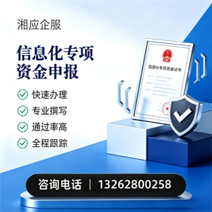清远信息化专项资金申报服务