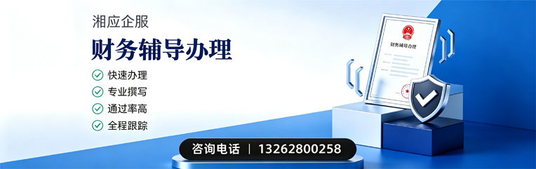 清远财务辅导申请服务