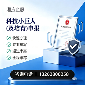 清远科技小巨人及培育企业申报服务