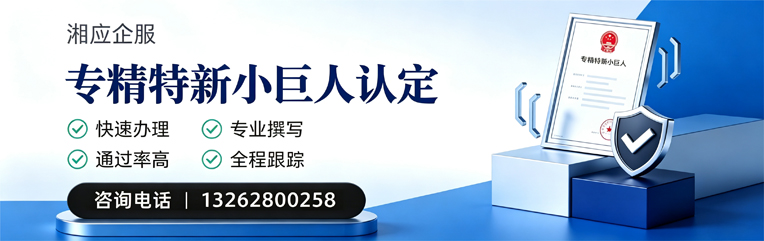 清远专精特新小巨人申报服务